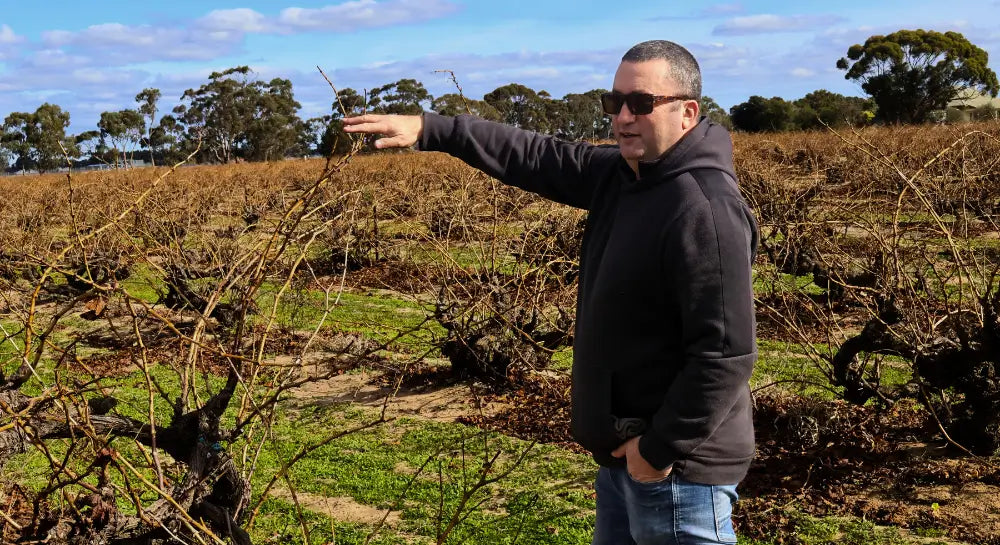 Marco Cirillo in the 1948 planted Grenache vineyard