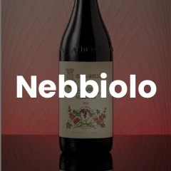 Nebbiolo Red Wines