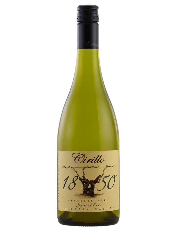 2019 Cirillo 1850 Ancestor Vine Semillon