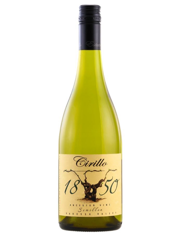 2019 Cirillo 1850 Ancestor Vine Semillon