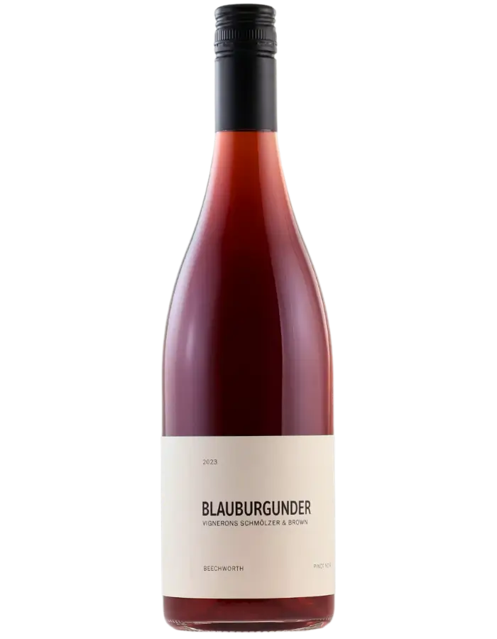 2023 Vignerons Schmolzer & Brown Blauburgunder